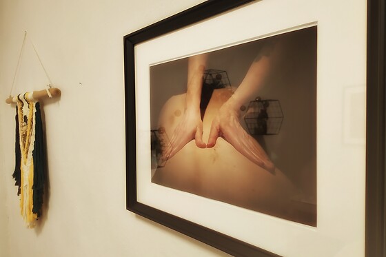 ZO-CO - photo 4
