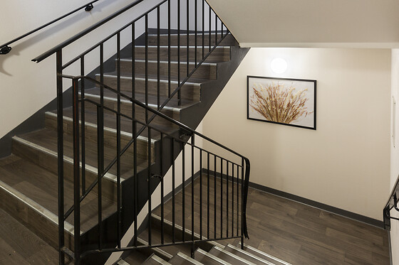Hôtel Mister Bed Orléans Saran - photo 5