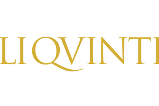 Li Qvinti - photo 1