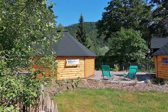 Au cœur du pin sylvestre - photo 9