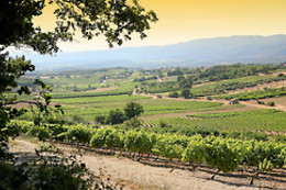 VMV Vignerons du Mont Ventoux