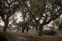 FINCA EL CORTIÑAL