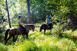 Centre Equestre La Champagne