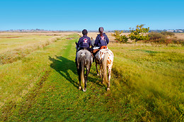 Centre Equestre La Champagne