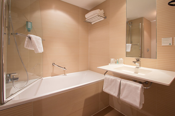 Holiday Inn Mulhouse - photo 12