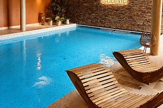 Un accès au spa privatif et un massage du corps californien en duo au SPA Célinie à Warcq (08)