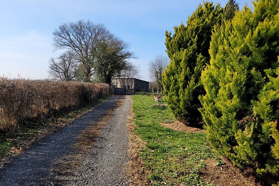 Traitsanes - photo 1