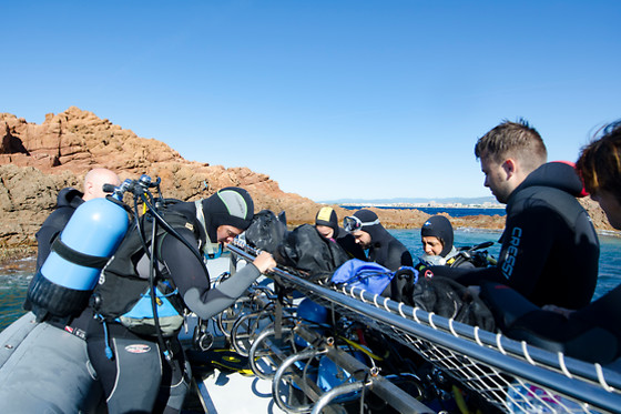 Aquatic Rando - photo 22