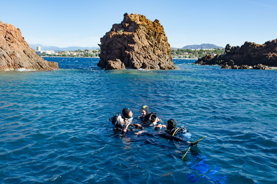 Aquatic Rando - photo 10
