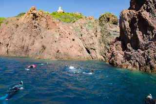 Un stage de plongée - Port Fréjus (83)