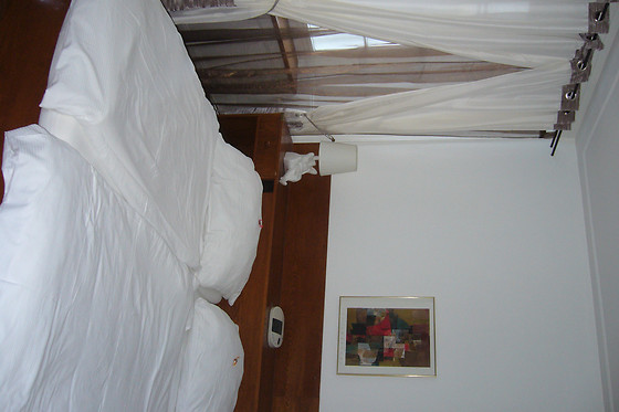 Hôtel de France - photo 6