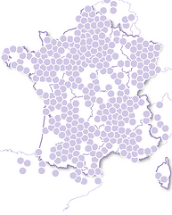 Félicitations aux mariés Rêve