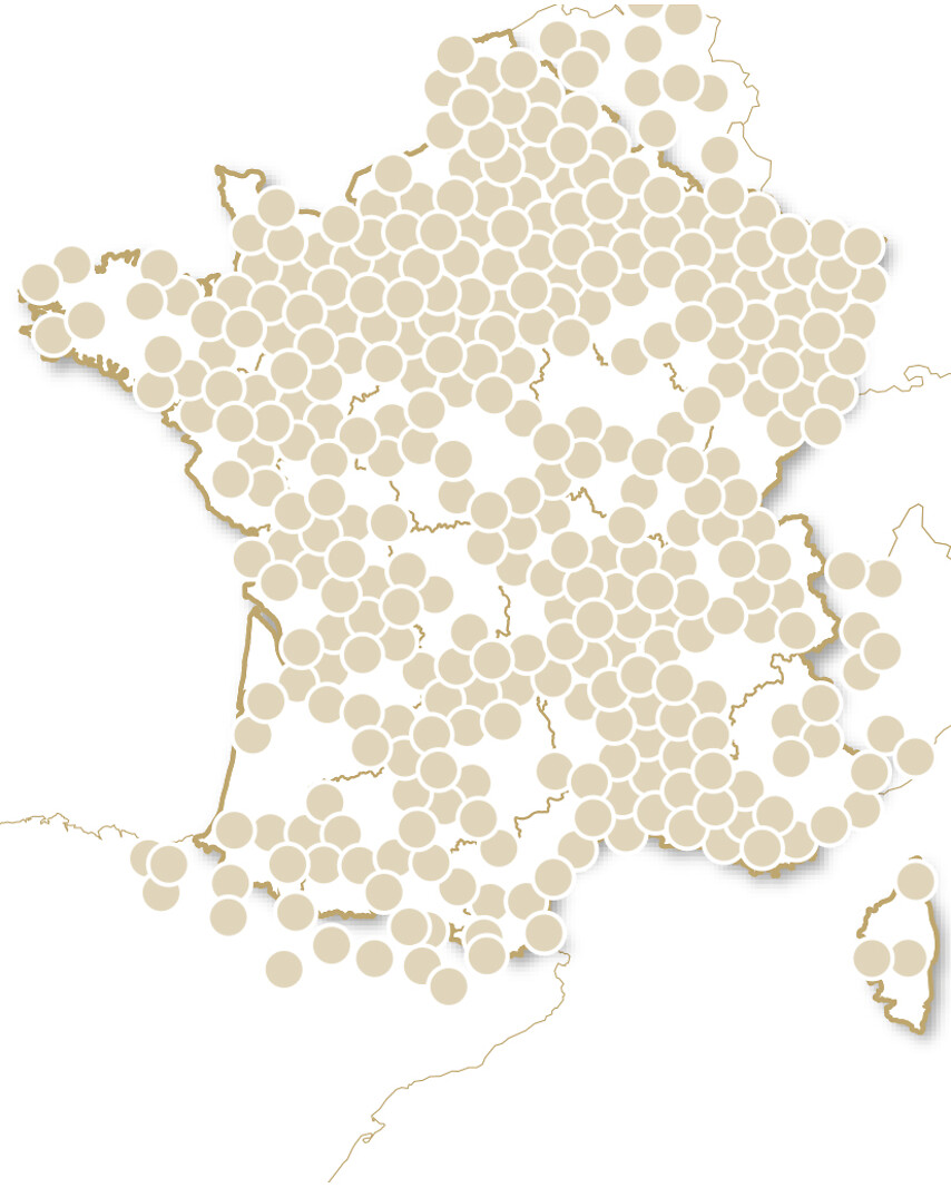 Pour mon petit-fils chéri