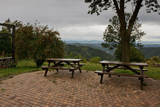 Auberge de pays L'Herminette - photo 10