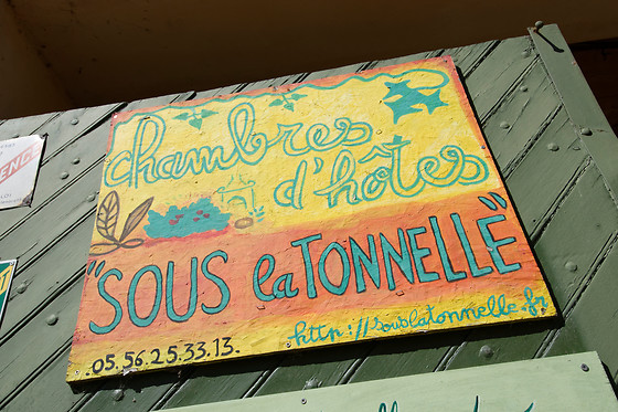 Sous la tonnelle - photo 5