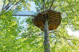 Domaine des Vaulx