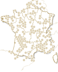 INSOLITE - Mille et une nuits