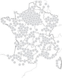 Félicitations aux mariés Exception