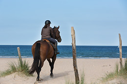 Sables d'Or Equitation