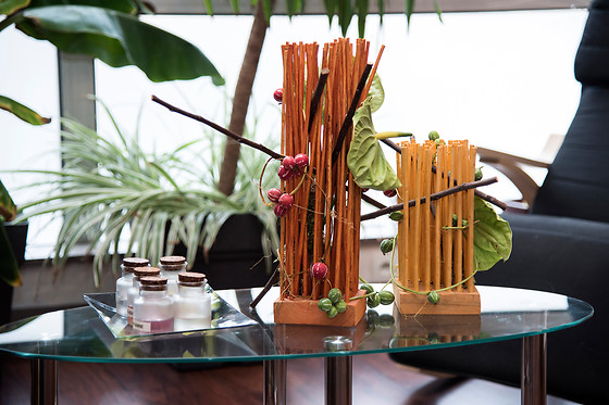 Paradis Coco - photo 22