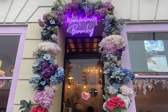 Wonderland Brunchy Notre Dame - photo 0