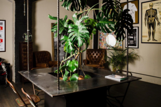 BIGORNA PARLOUR - photo 5