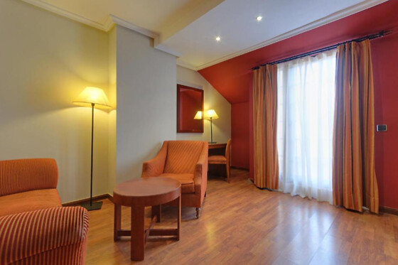 HOTEL SEGOVIA SIERRA DE GUADARRAMA - photo 5
