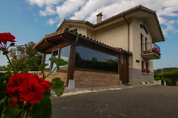 TOLARE BERRI
