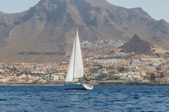 WHITE TENERIFE - photo 22