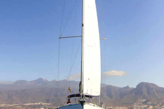 WHITE TENERIFE - photo 7