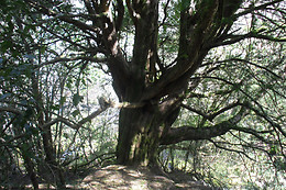 RUTAS XANZÁ