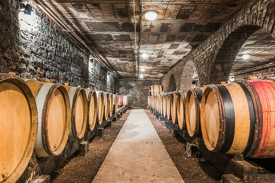 Domaine Besancenot - photo 6