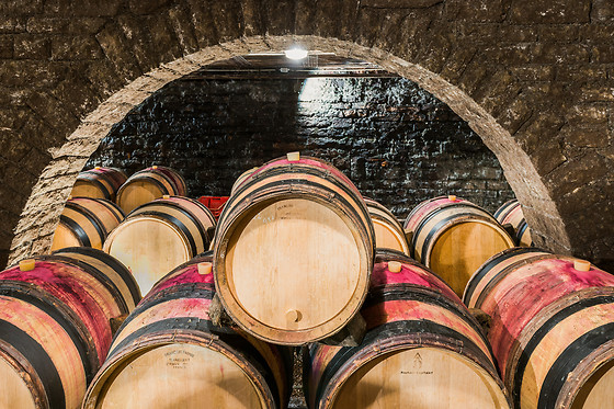Domaine Besancenot - photo 9