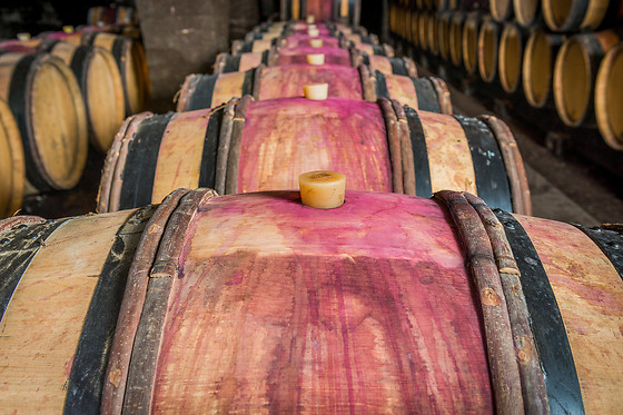 Domaine Besancenot - photo 12
