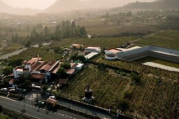 BODEGA REVERÓN