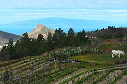 BODEGA REVERÓN