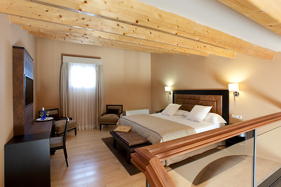 HOTEL PALACIO DE ARENALES & SPA - photo 25