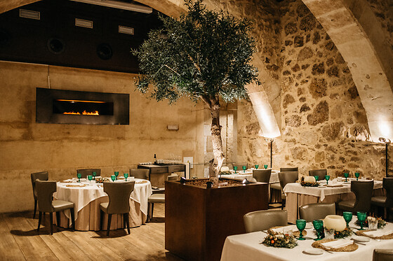 HOSPES PALACIO DE SAN ESTEBAN - photo 4