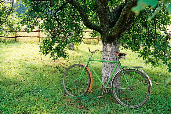 B&B Giardino - photo 7