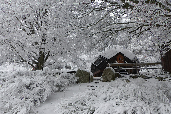 Chalet des 2 Roches - photo 4