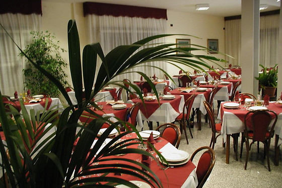 Hotel Marystella - photo 6