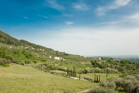Agriturismo Al Vecchio Metato - photo 14