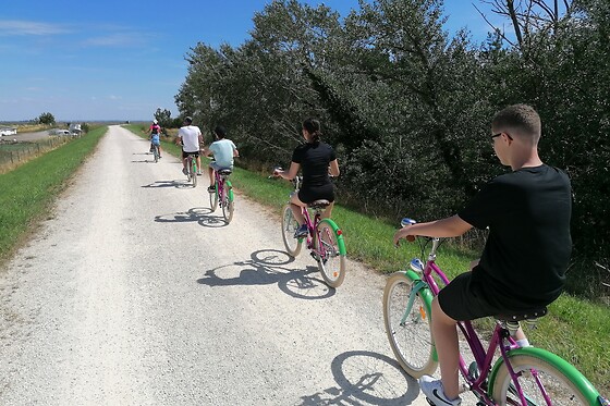 Original Vélo Tour - photo 2