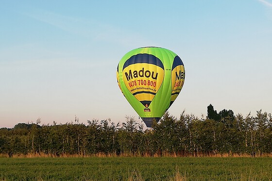 Madou - photo 5