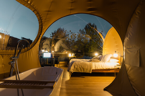 NOCHES DE CALIG - photo 0