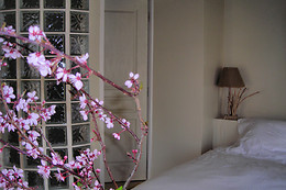 Le clos Sainte Anne