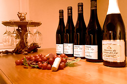 Domaine Du Côteau Des Lys