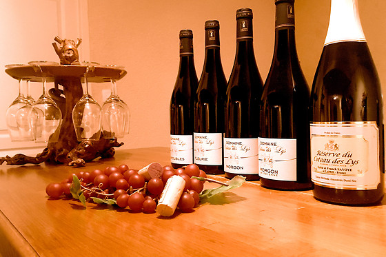 Domaine Du Côteau Des Lys - photo 4