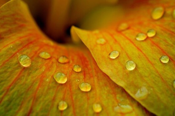 HYPCOACH - photo 6