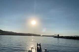 Excursion en mer pour 2 à la découverte de l'archipel du Frioul avec coucher de soleil - Bateau Marseille Calanques - Marseille (13)